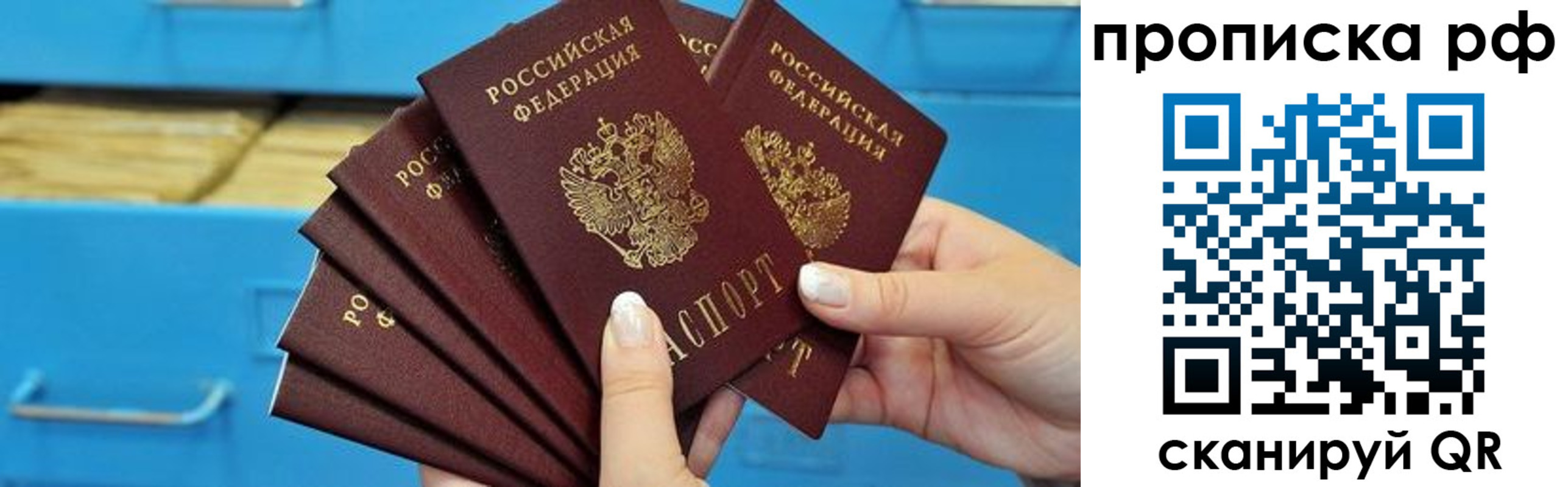 прописка поиск в Карелии